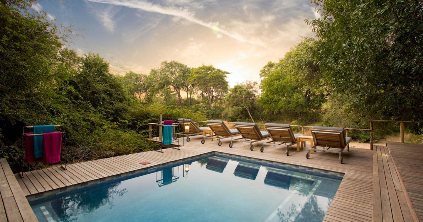 The swimming pool at Bateleur Safari Camp in Timbavati