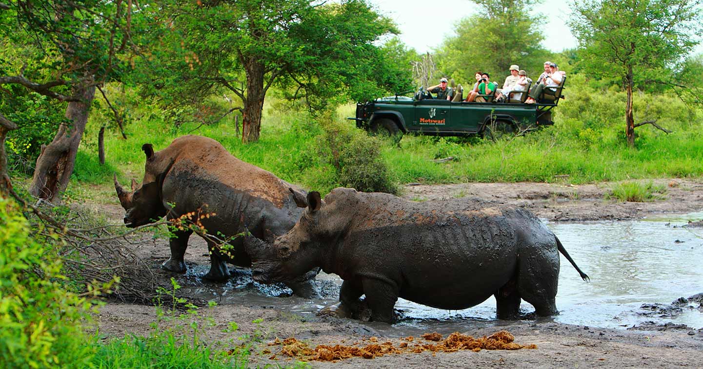 Rhinoceros at Moswari Game Lodge
