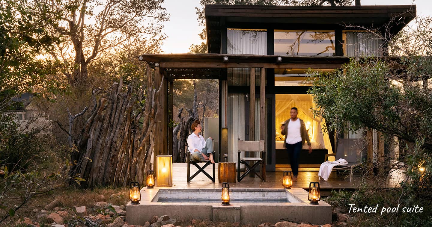 A tented pool suite at Simbavati River Lodge