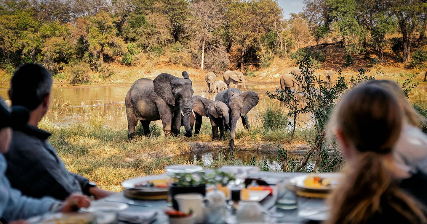 Wildlife at your doorstep at Simbavati River Lodge in Timbavati