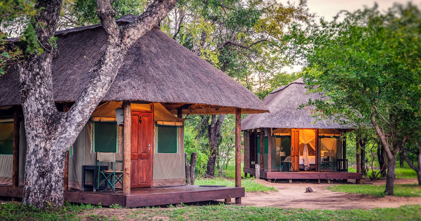 Obsessie abces weer Shindzela Tented Safari Camp in Timbavati Game Reserve - Luxury safari in  Kruger National Park South Africa