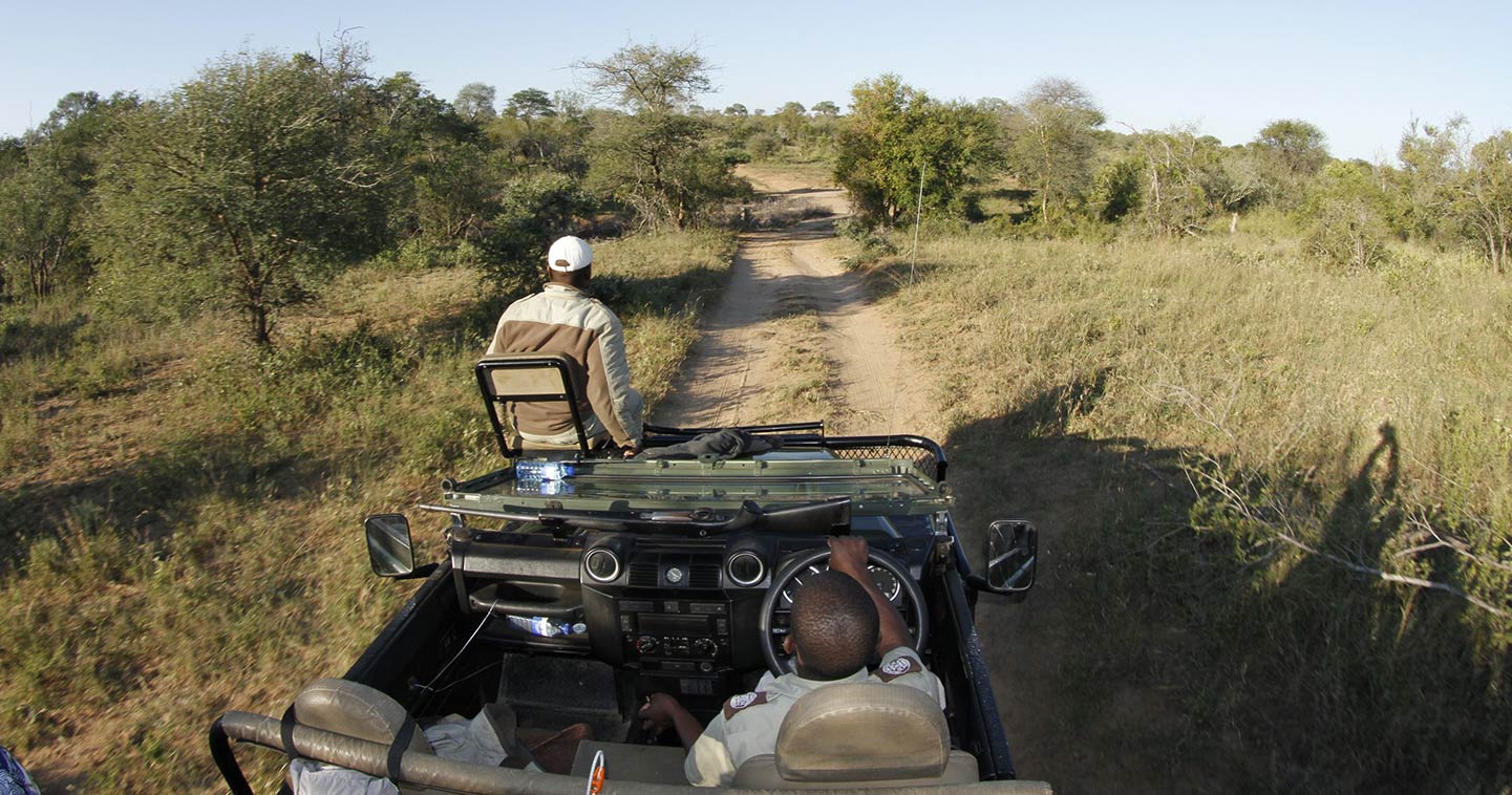 Enjoy a safari game drive with Umlani Bushcamp in Timbavati Game Reserve